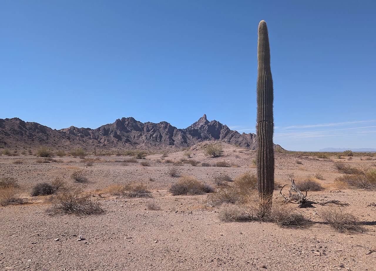 Antelope Hill, Arizona